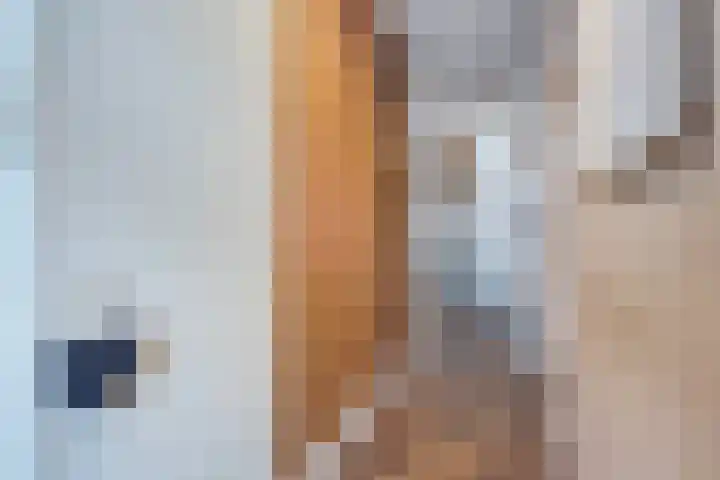 Werumeus Buninglaan 124 Waddinxveen thumbnail 18