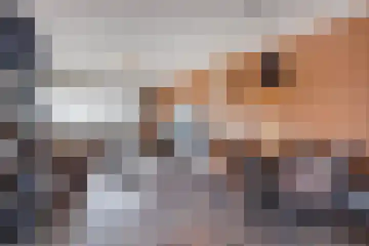 Werumeus Buninglaan 124 Waddinxveen thumbnail 20