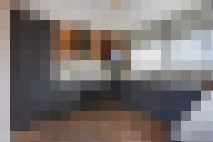 Werumeus Buninglaan 124 Waddinxveen thumbnail 27