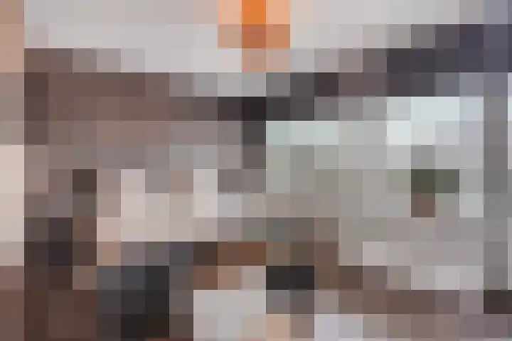 Werumeus Buninglaan 124 Waddinxveen thumbnail 36
