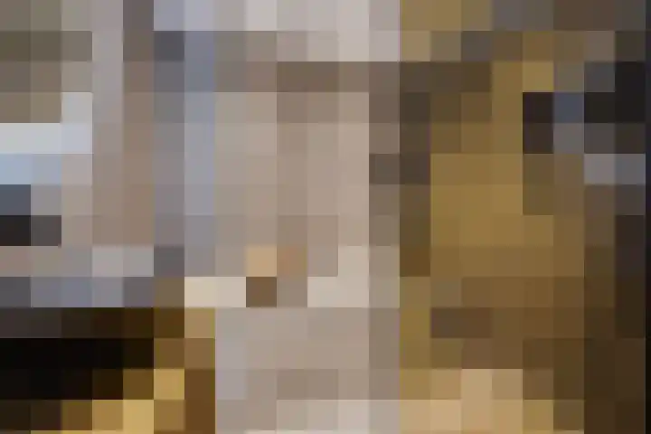 Werumeus Buninglaan 124 Waddinxveen thumbnail 44