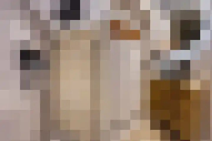 Werumeus Buninglaan 124 Waddinxveen thumbnail 47