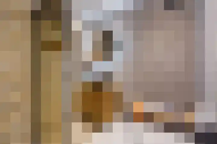 Werumeus Buninglaan 124 Waddinxveen thumbnail 48