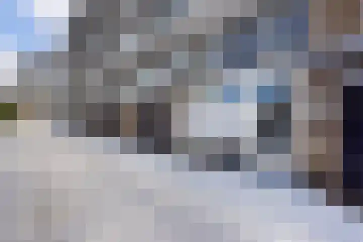 Werumeus Buninglaan 124 Waddinxveen thumbnail 8
