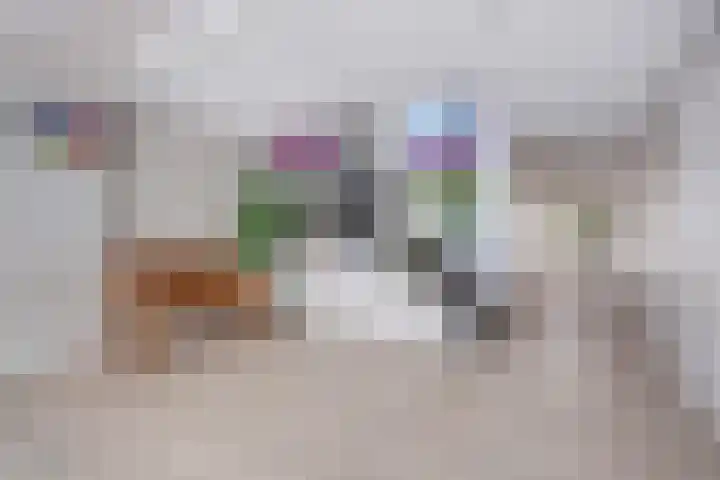 Werumeus Buninglaan 124 Waddinxveen thumbnail 9