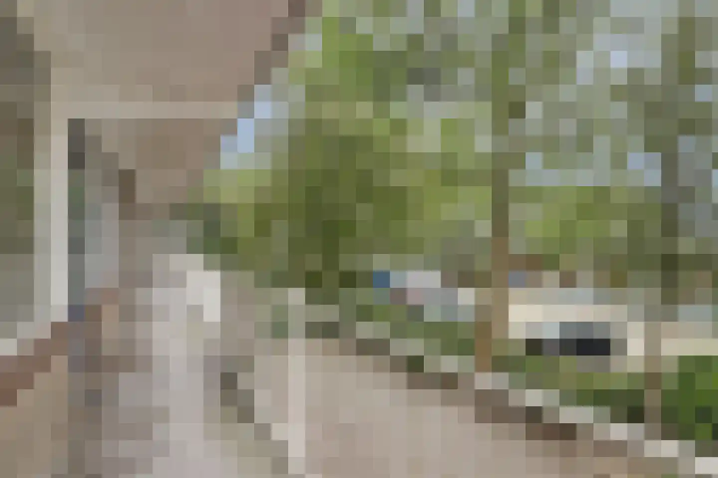Werumeus Buninglaan 60 Waddinxveen thumbnail 22