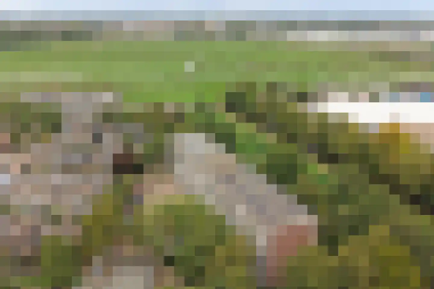 Werumeus Buninglaan 60 Waddinxveen thumbnail 34