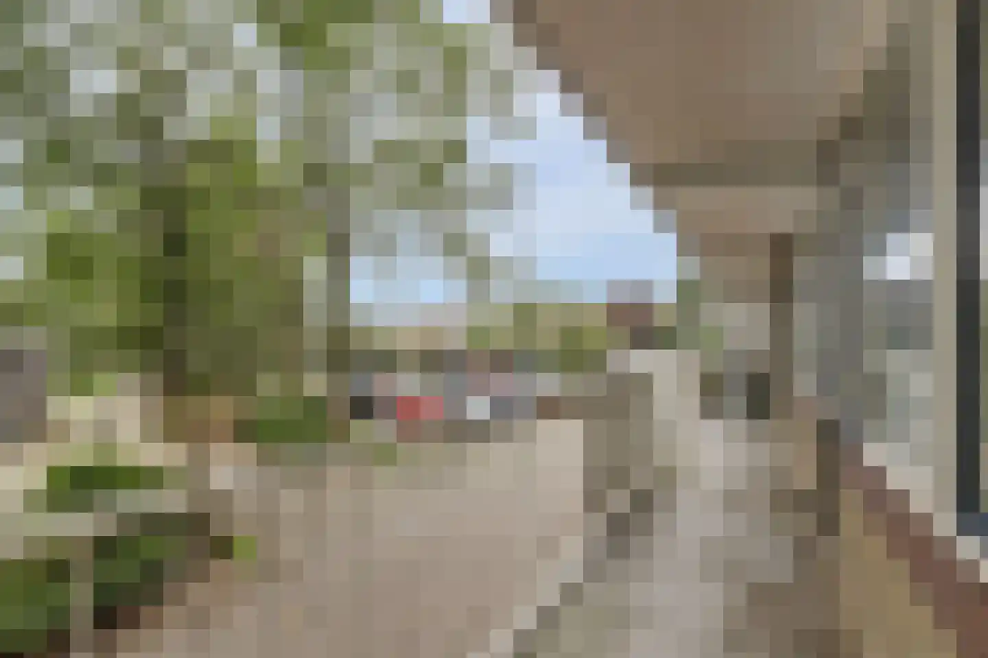 Werumeus Buninglaan 60 Waddinxveen thumbnail 6
