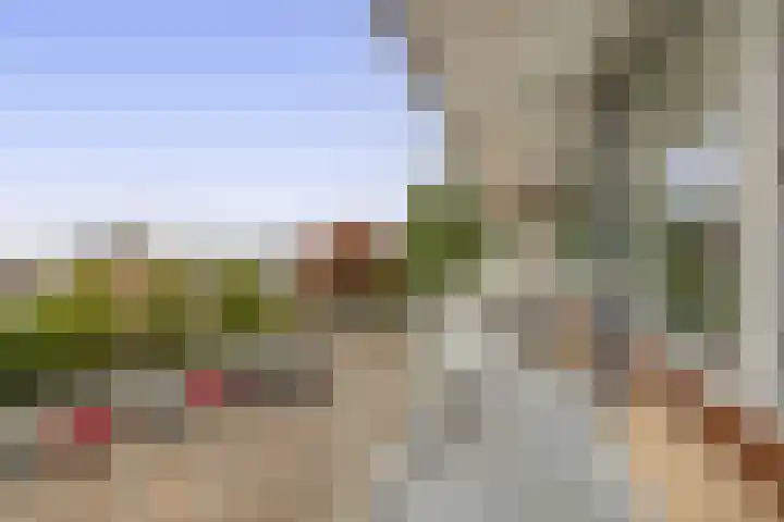 Werumeus Buninglaan 68 Waddinxveen thumbnail 10