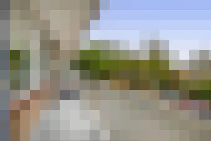 Werumeus Buninglaan 68 Waddinxveen thumbnail 11