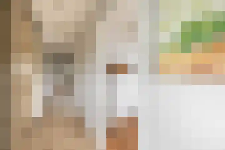 Werumeus Buninglaan 68 Waddinxveen thumbnail 20