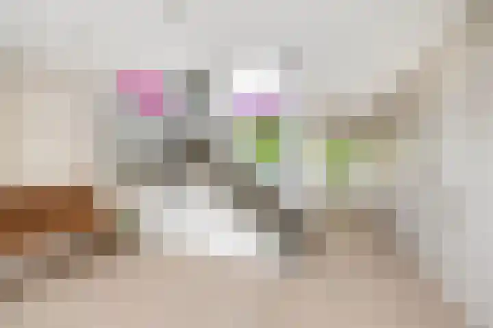 Werumeus Buninglaan 68 Waddinxveen thumbnail 25