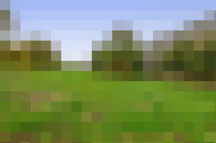Werumeus Buninglaan 68 Waddinxveen thumbnail 30