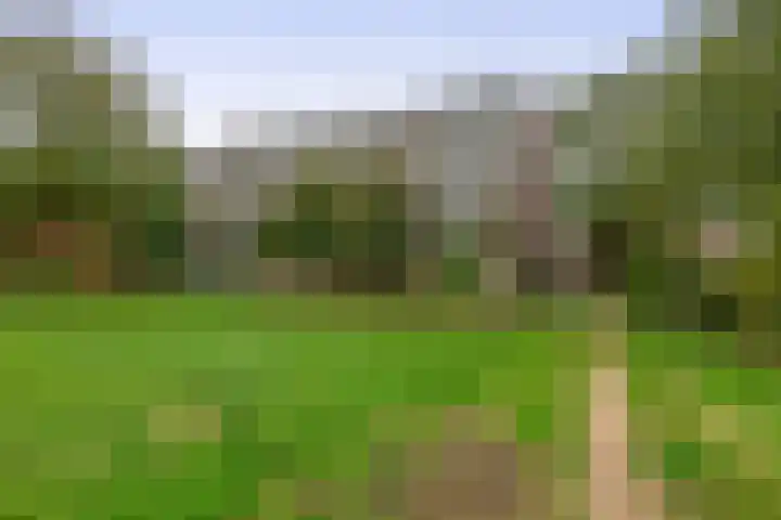Werumeus Buninglaan 68 Waddinxveen thumbnail 31