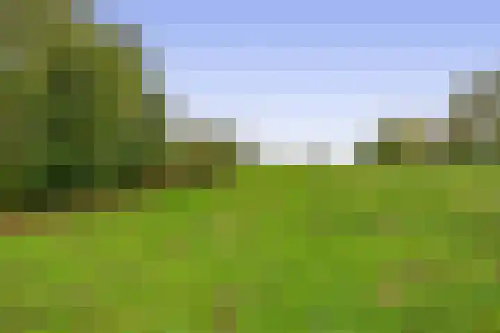 Werumeus Buninglaan 68 Waddinxveen thumbnail 32