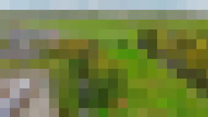 Werumeus Buninglaan 68 Waddinxveen thumbnail 34