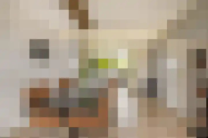 Werumeus Buninglaan 68 Waddinxveen thumbnail 4