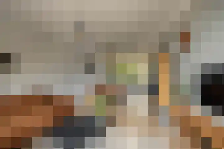Werumeus Buninglaan 68 Waddinxveen thumbnail 7