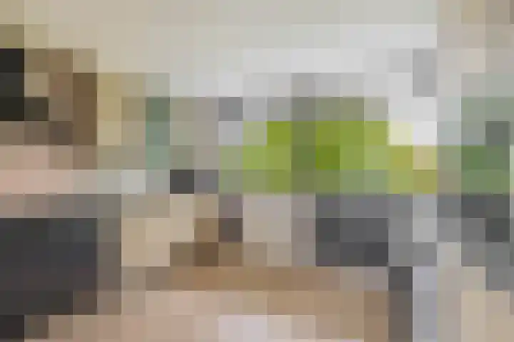 Werumeus Buninglaan 68 Waddinxveen thumbnail 8