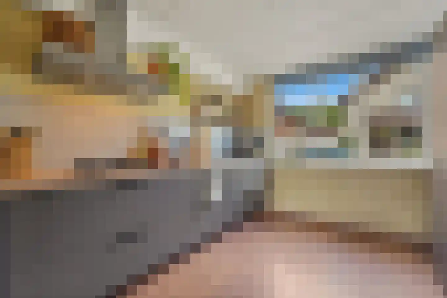 Werve 25 Maasland thumbnail 10