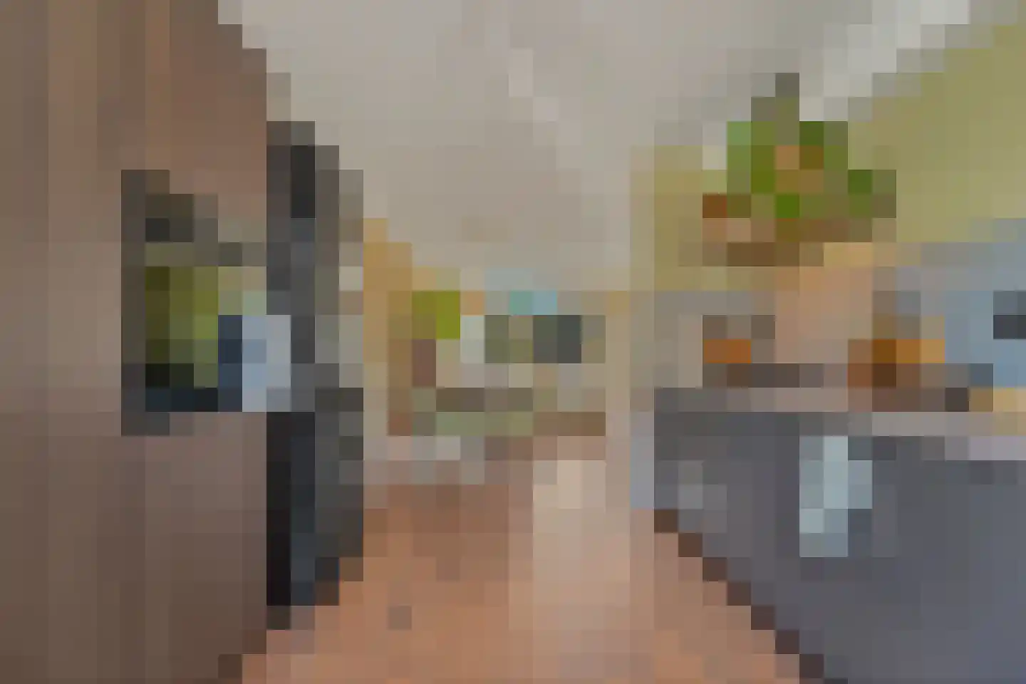 Werve 25 Maasland thumbnail 11