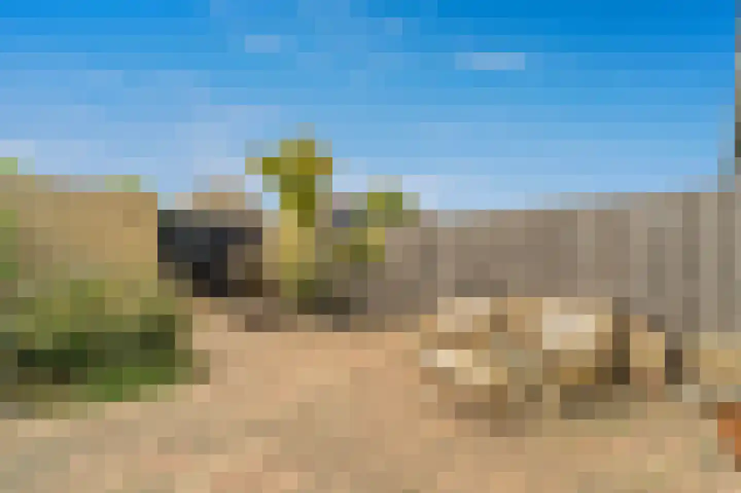 Werve 25 Maasland thumbnail 14