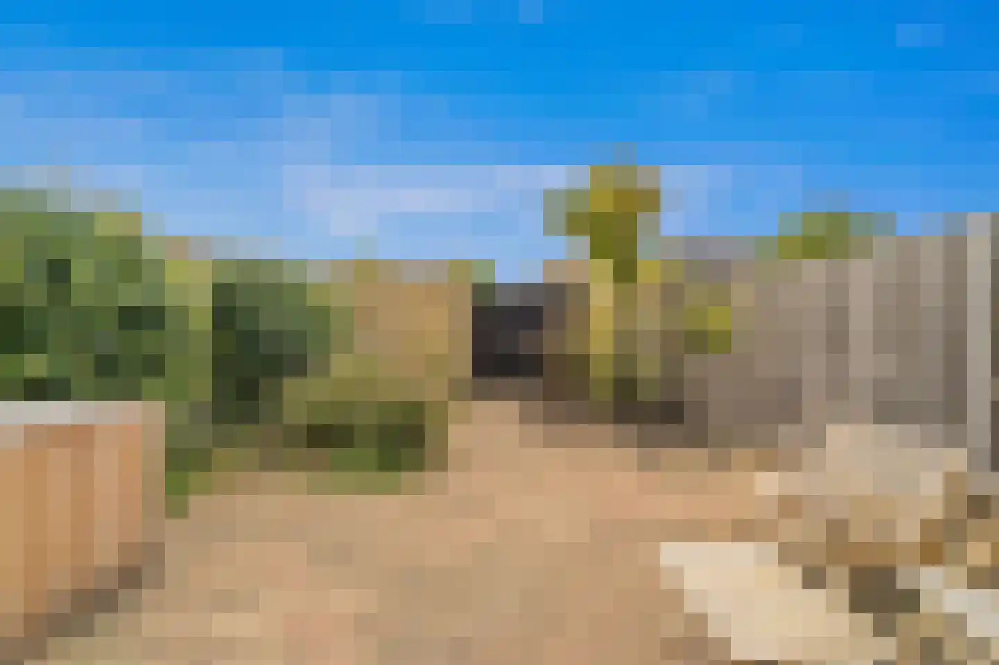 Werve 25 Maasland thumbnail 15