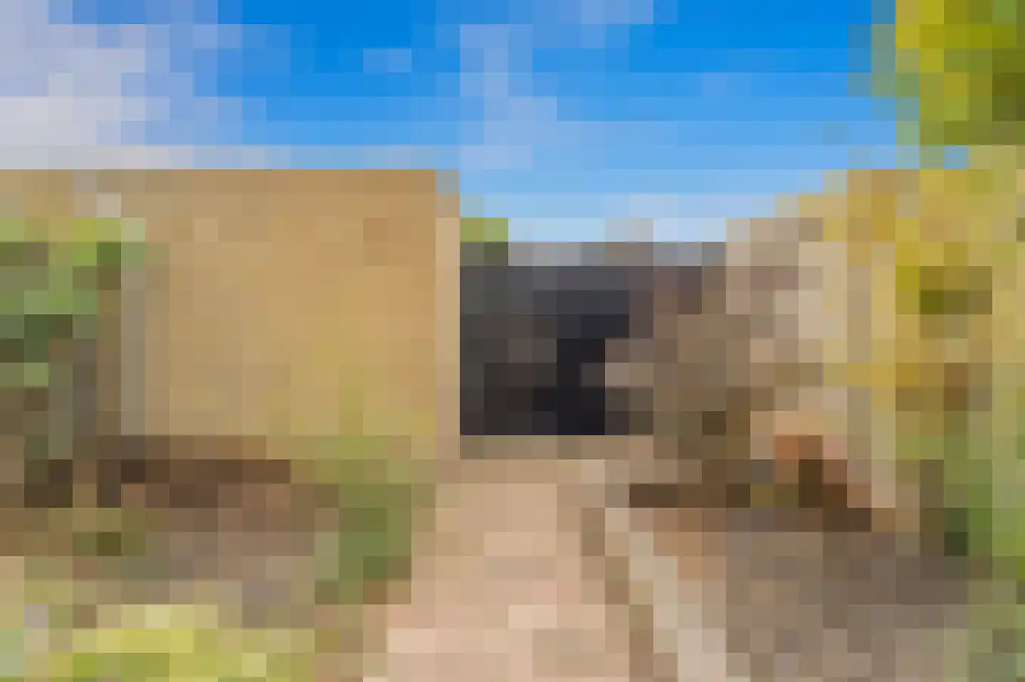 Werve 25 Maasland thumbnail 17