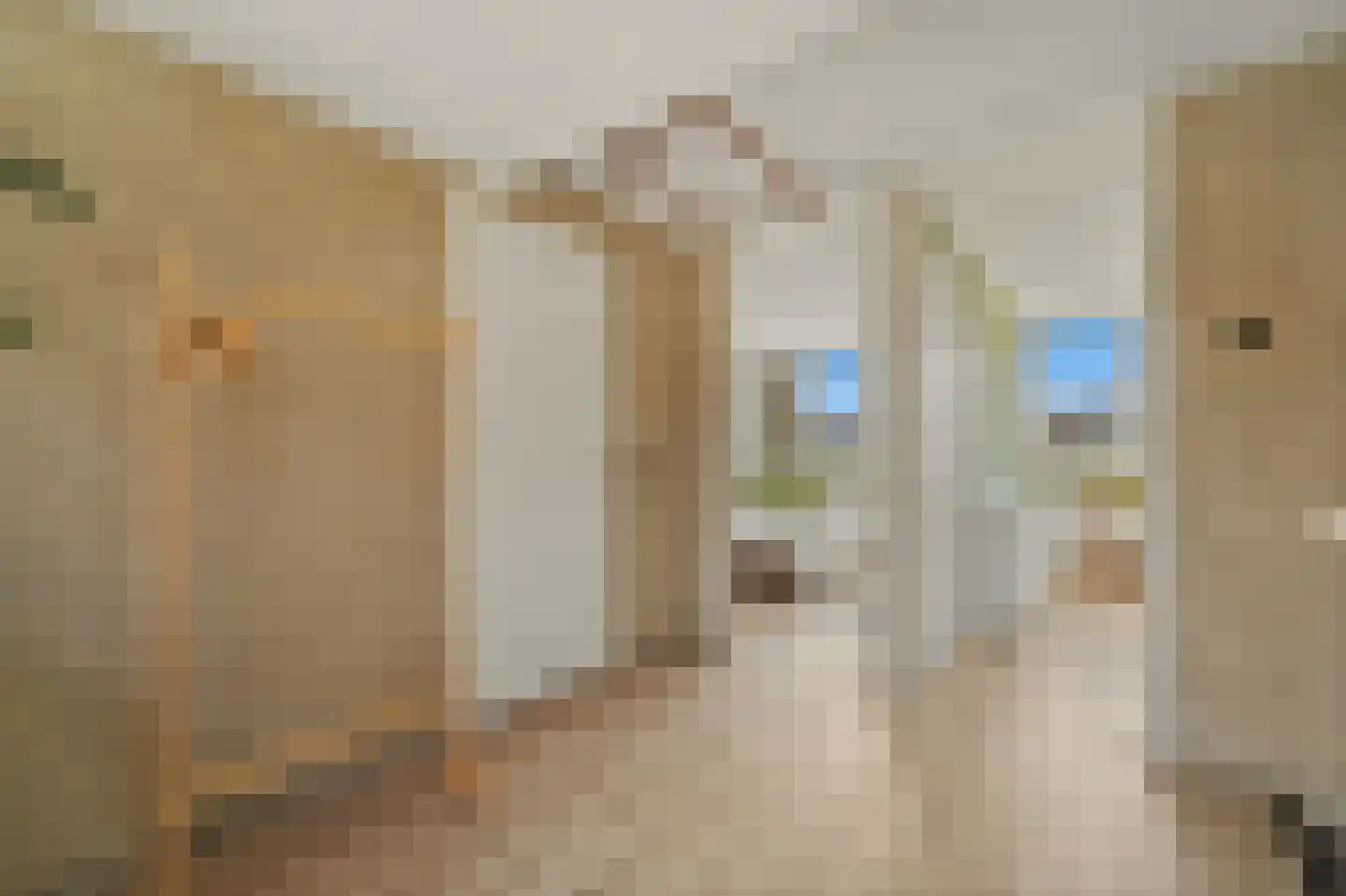 Werve 25 Maasland thumbnail 21