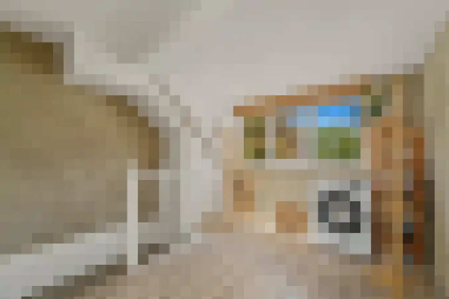 Werve 25 Maasland thumbnail 22