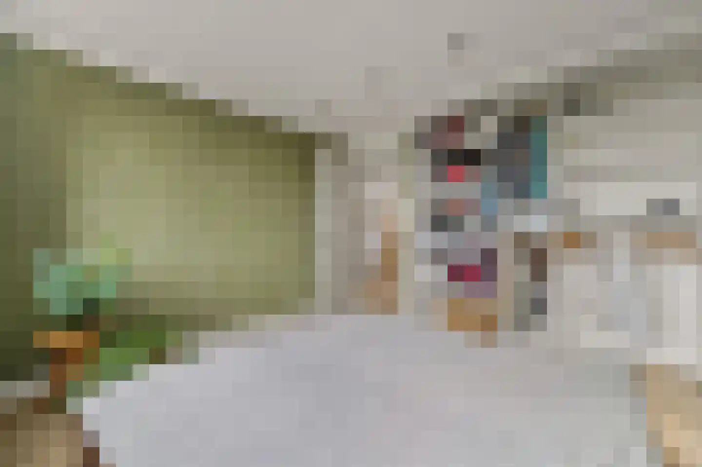 Werve 25 Maasland thumbnail 24