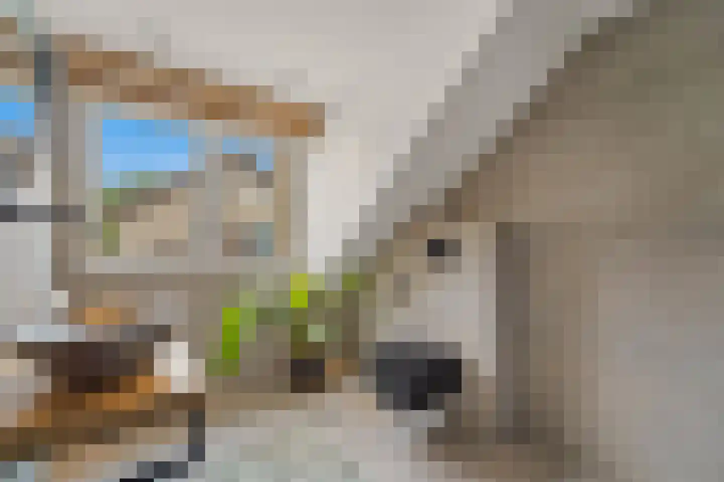 Werve 25 Maasland thumbnail 26