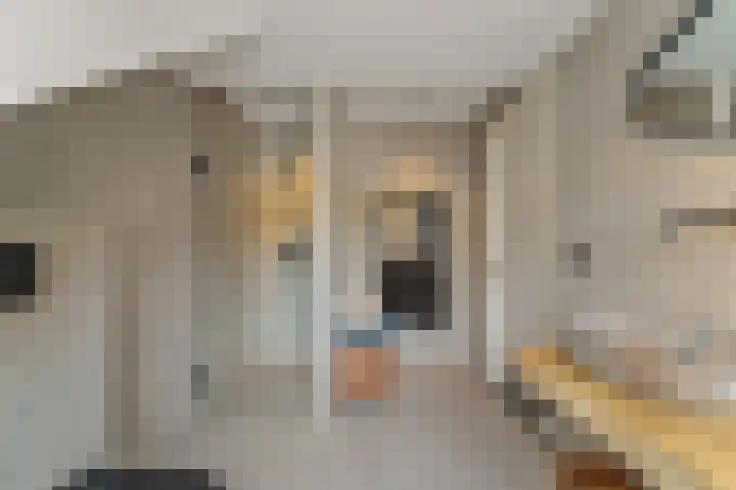 Werve 25 Maasland thumbnail 27