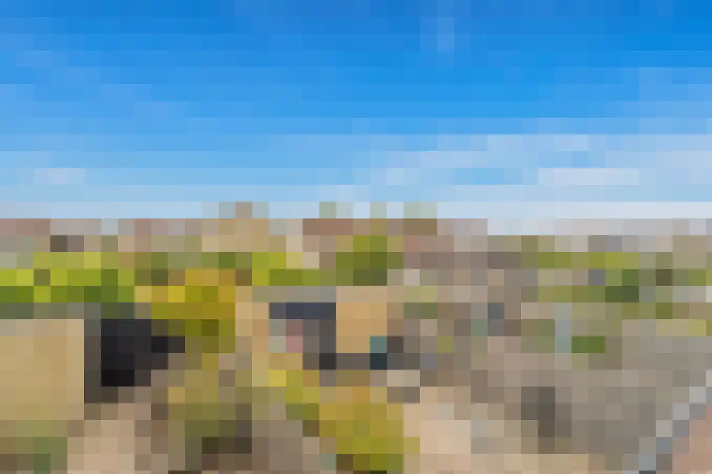 Werve 25 Maasland thumbnail 30