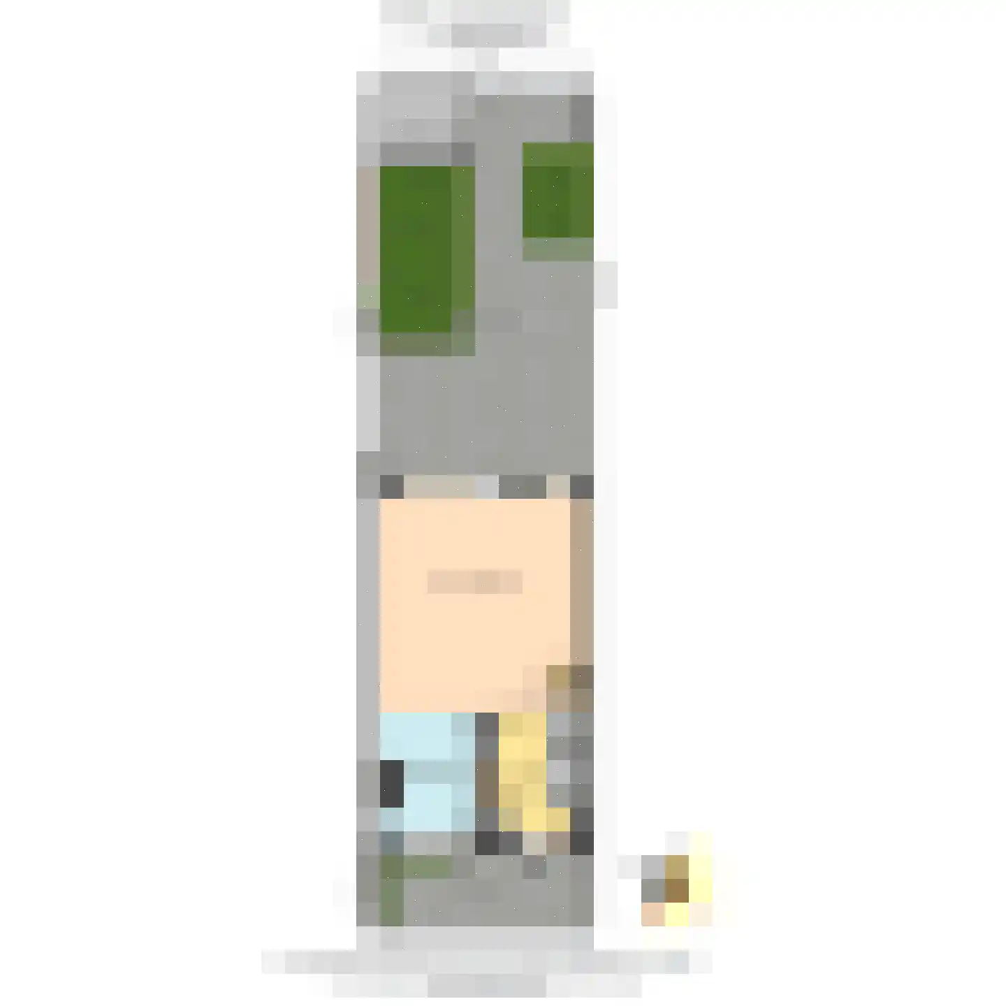 Werve 25 Maasland thumbnail 31