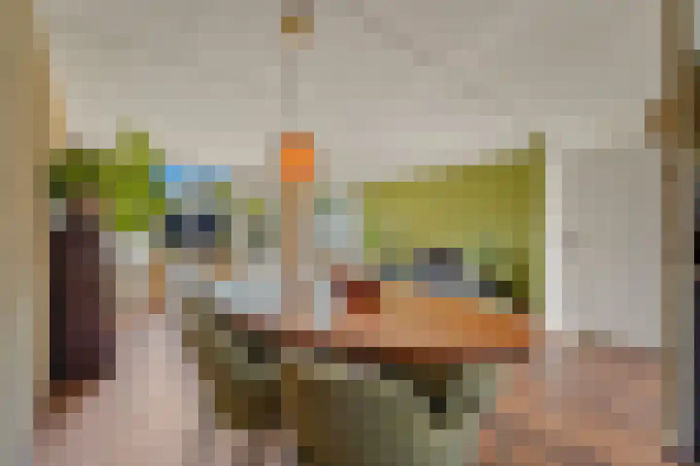 Werve 25 Maasland thumbnail 6