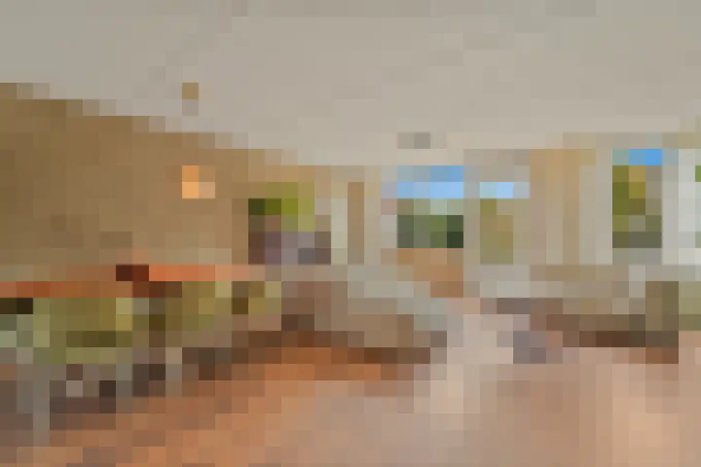 Werve 25 Maasland thumbnail 7