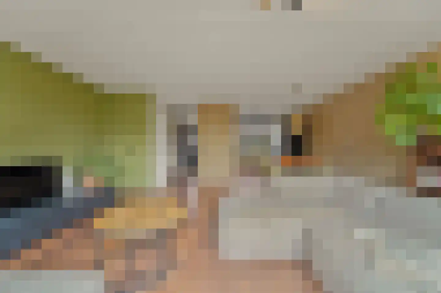 Werve 25 Maasland thumbnail 8