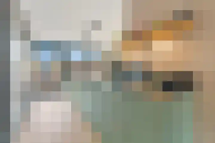 Werve 45 Maasland thumbnail 10