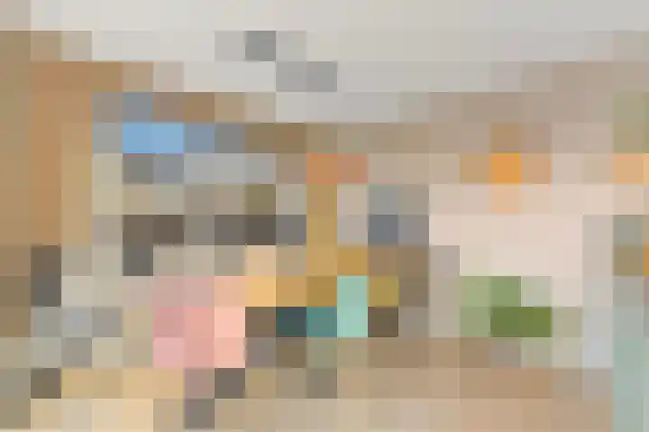Werve 45 Maasland thumbnail 14