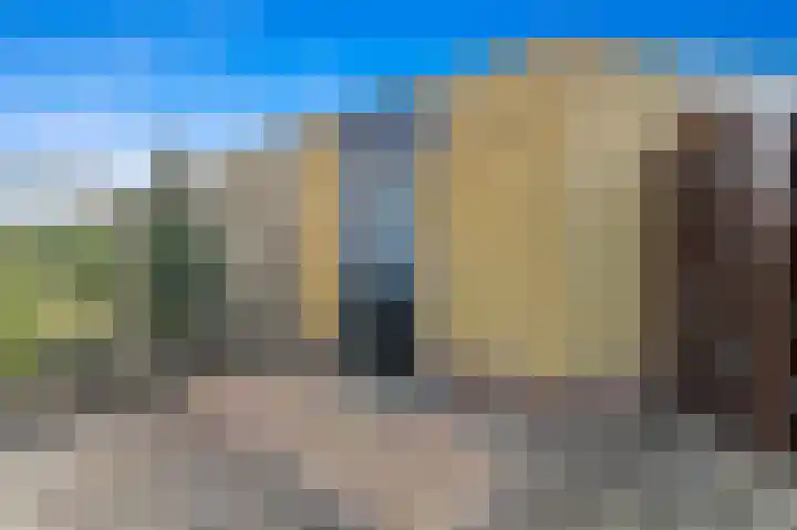 Werve 45 Maasland thumbnail 16