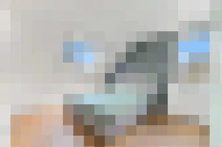 Werve 45 Maasland thumbnail 19