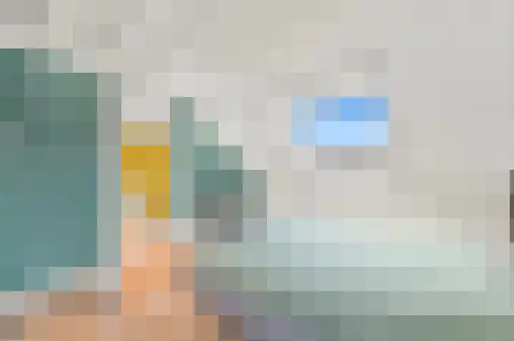 Werve 45 Maasland thumbnail 20