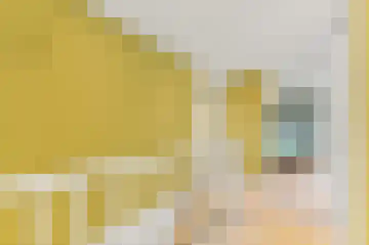 Werve 45 Maasland thumbnail 22