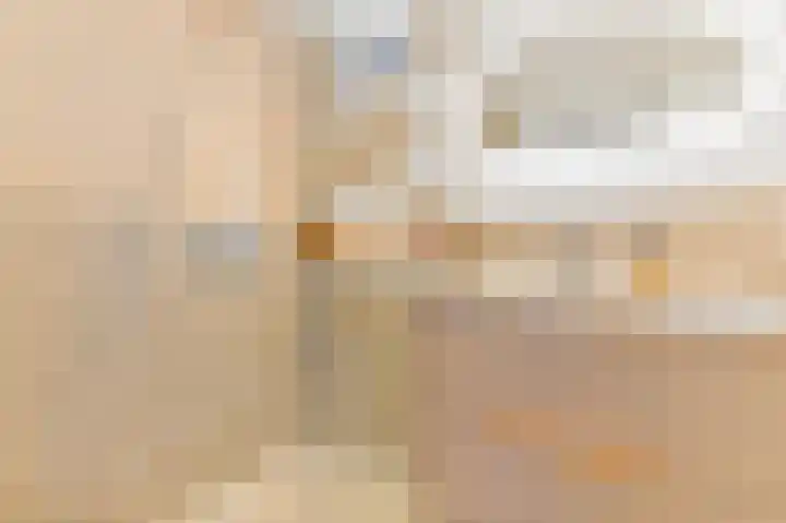 Werve 45 Maasland thumbnail 26