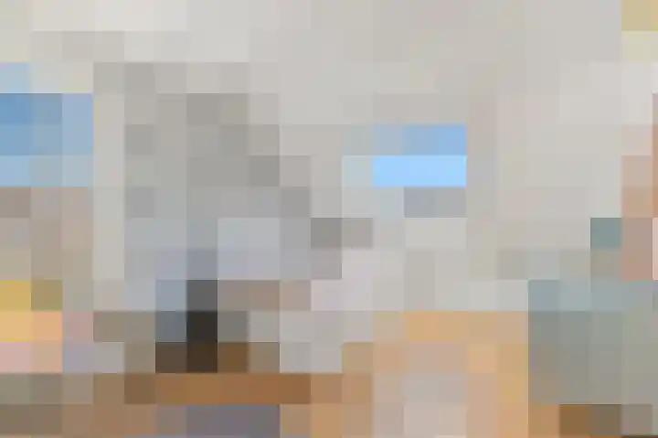 Werve 45 Maasland thumbnail 28