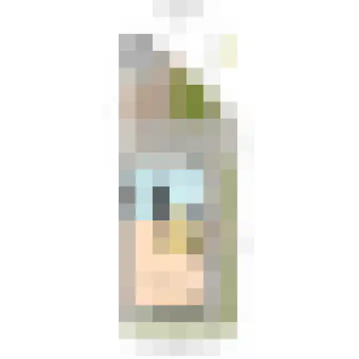 Werve 45 Maasland thumbnail 31