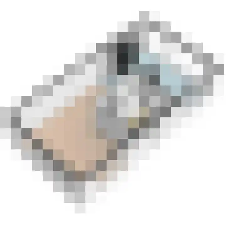 Werve 45 Maasland thumbnail 33