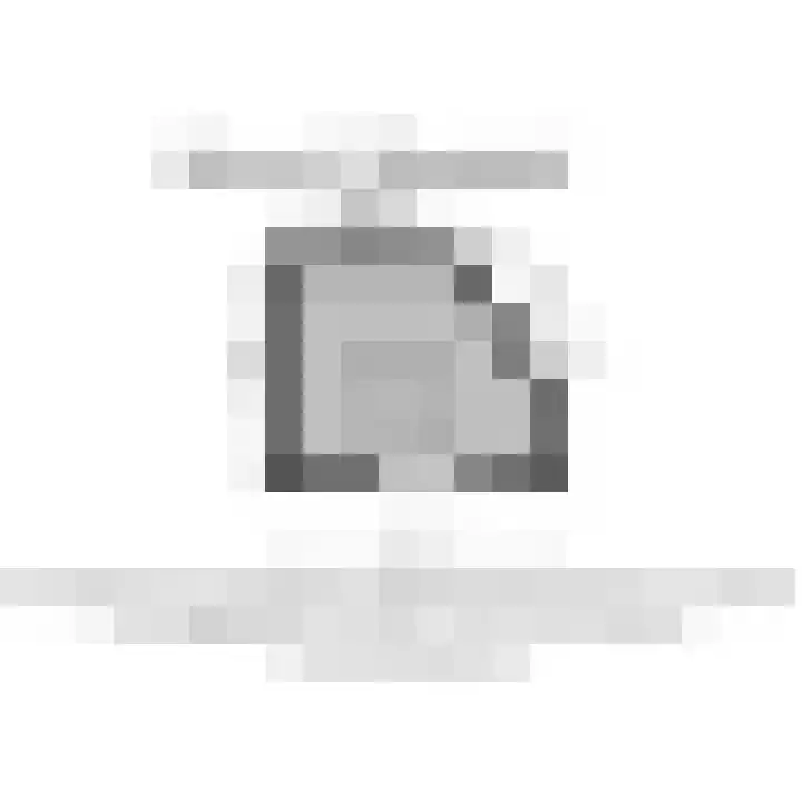 Werve 45 Maasland thumbnail 36