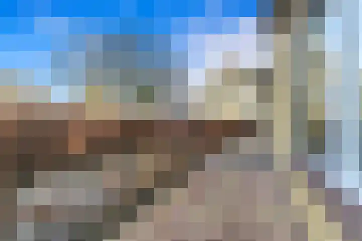 Werve 45 Maasland thumbnail 4